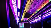 Baltas Party Bus nuoma