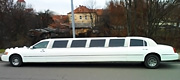 14 vietų vestuvinis limuzinas Vilniuje